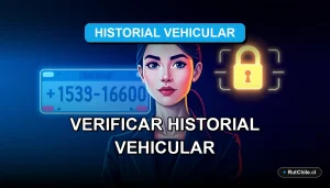 Ilustración profesional de un analista revisando datos de vehículo en Chile de forma legal y segura.